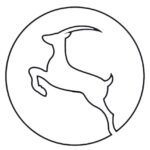 Dhabi